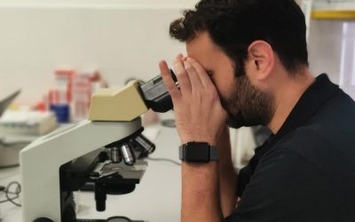 Laboratorio di analisi interno