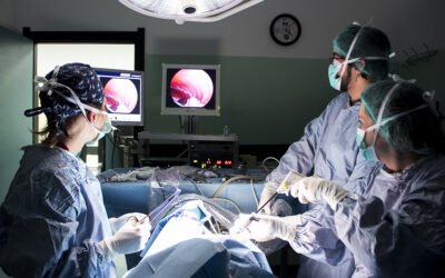 Sterilizzazione e gastropessi preventiva in laparoscopia