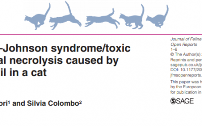 Sindrome di Stevens-Johnson da Cefadroxil nel gatto